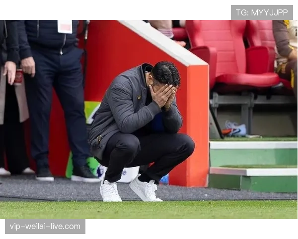 B费争议不断却仍不可替代，问题出在体系依赖还是能力断层？