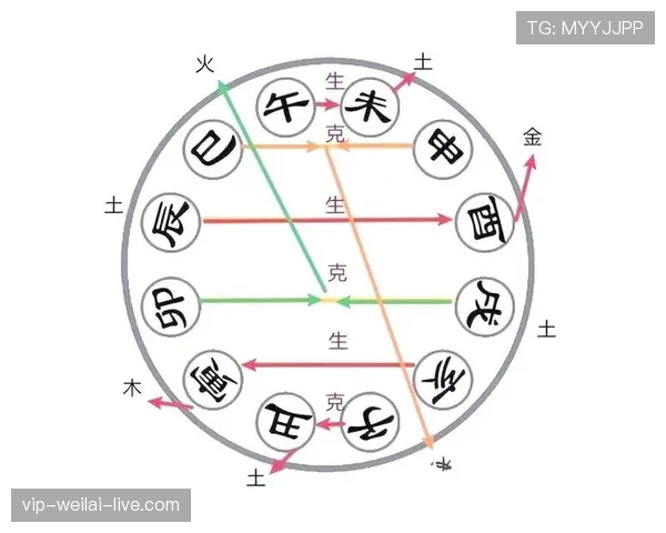 全面解析进攻时间规则的具体执行机制